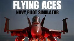 ƷԱ C ԱģFlying Aces C Navy Pilot Simulator