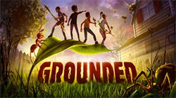 ΢ _ٷ_Grounded VR