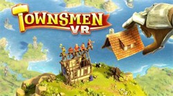 Oculus Quest Ϸ԰VRTownsmen VR