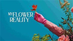 Oculus Quest Ϸ⻨衷My Flower Reality