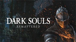 ڰ֮꣺ VRDARK SOULS_REMASTERED