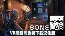 ѡʵ İ棨BONELAB