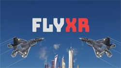 Oculus Quest ϷFly XRɻ
