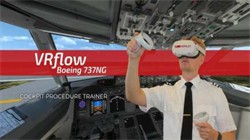 Oculus Quest ϷVRflow B737NGģ տB737N