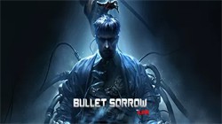 ӵ֮䣨Bullet Sorrow VR